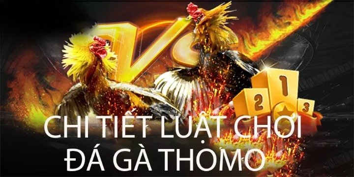 hướng dẫn Chi tiết luật chơi đá gà Thomo